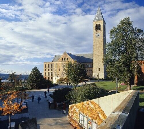 Cornell University: Nurturing Minds, Shaping Futures