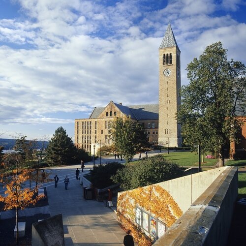 Cornell University: Nurturing Minds, Shaping Futures